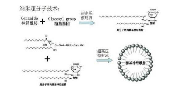 智合·水溶性神经酰胺2.5